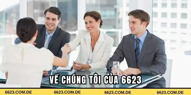 Những thông tin về chúng tôi - hành trình phát triển 