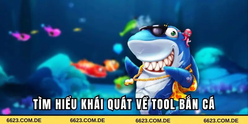Khám phá đôi nét về tool bắn cá